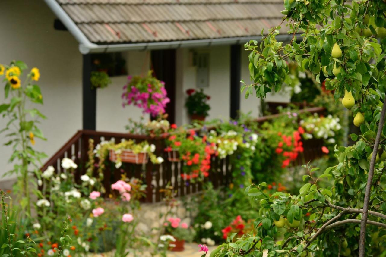 House Nina Poljanak Exterior foto